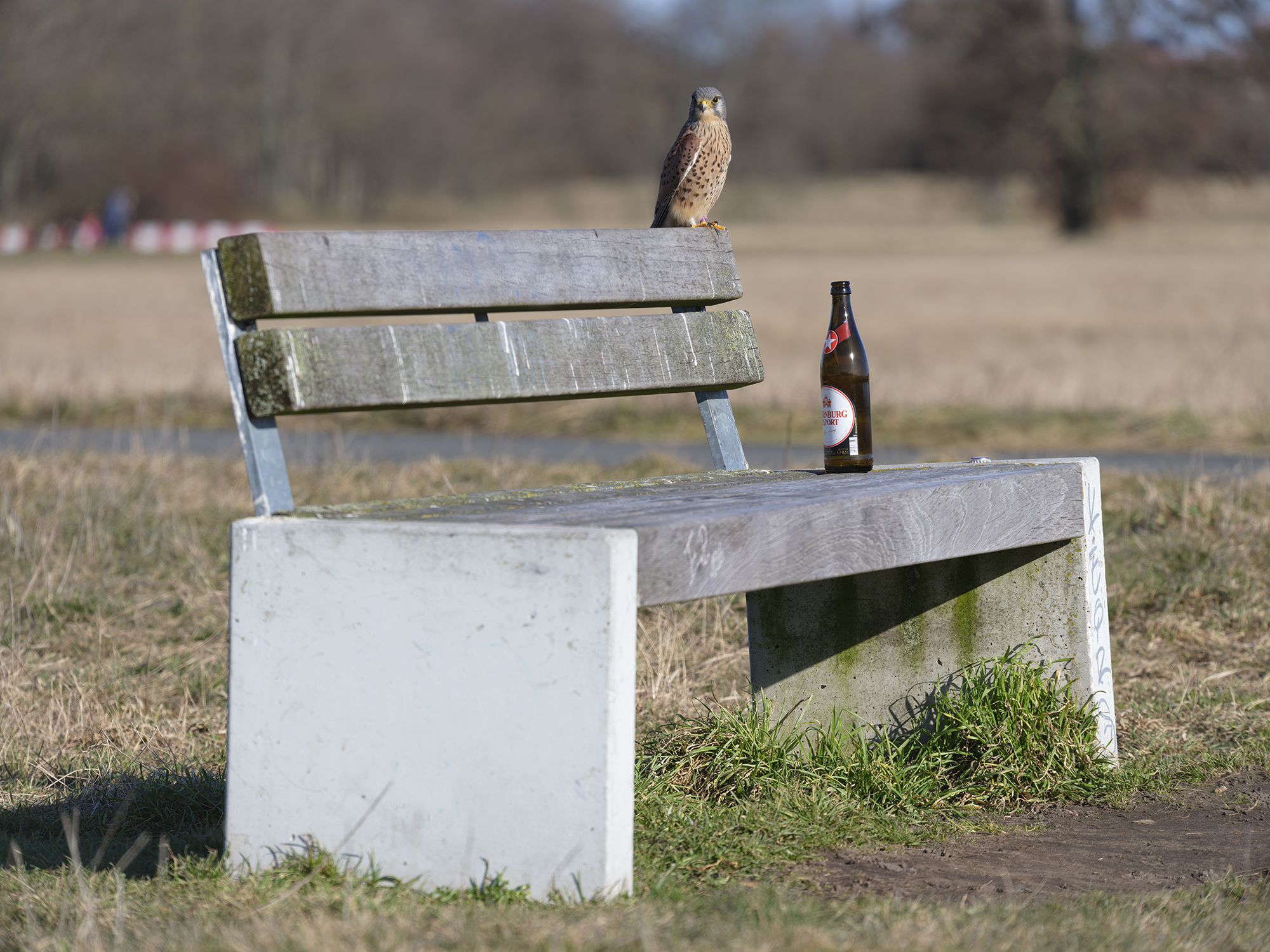 WAS? Ich darf doch ...